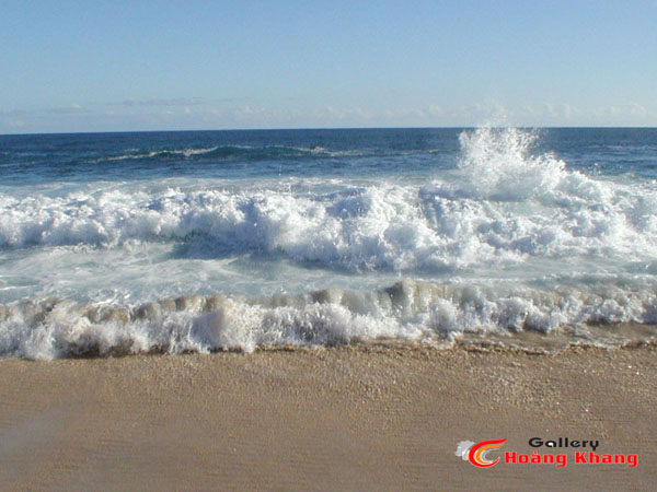 Tranh Thuyền Bườm